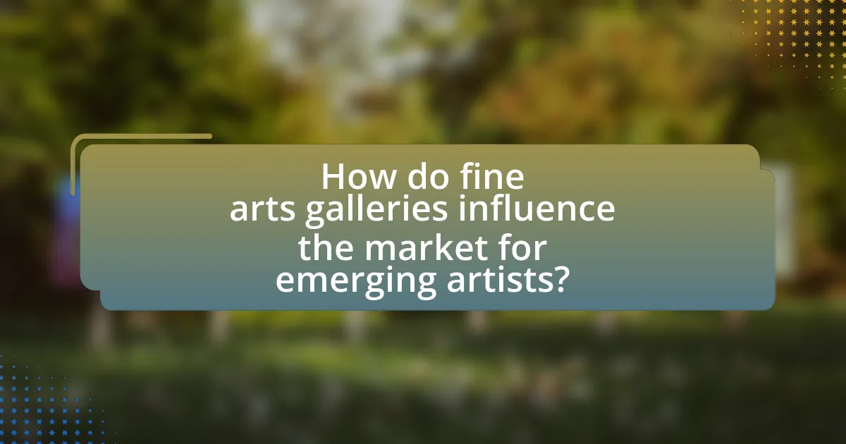 How do fine arts galleries influence the market for emerging artists?