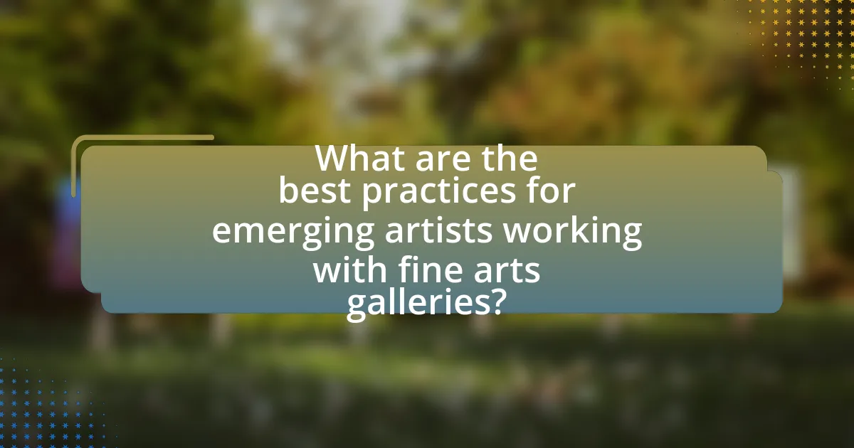 What are the best practices for emerging artists working with fine arts galleries?