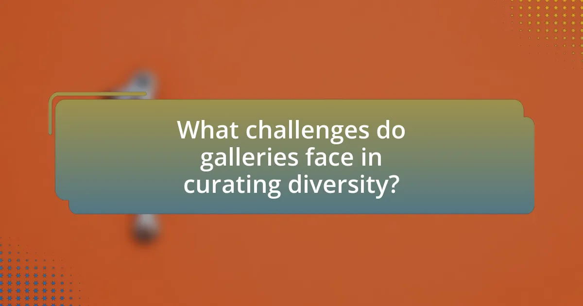 What challenges do galleries face in curating diversity?