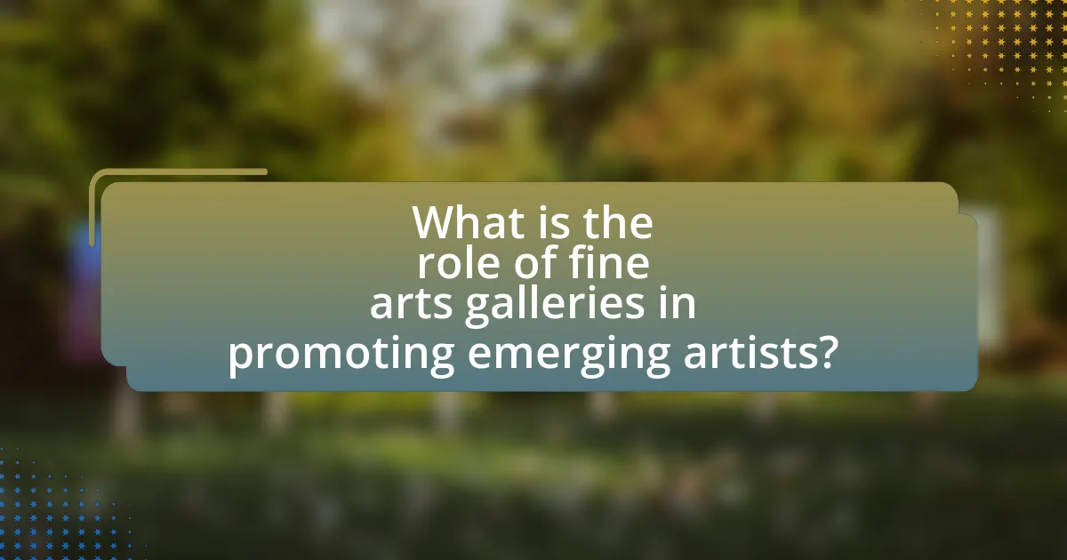 What is the role of fine arts galleries in promoting emerging artists?
