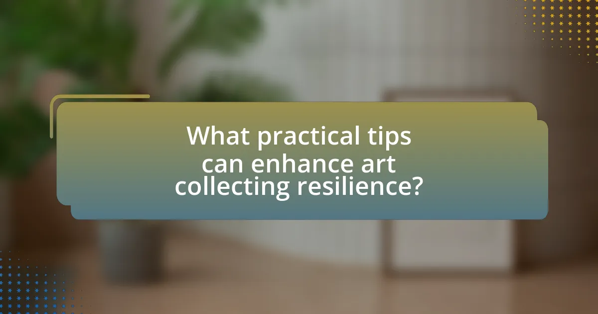 What practical tips can enhance art collecting resilience?