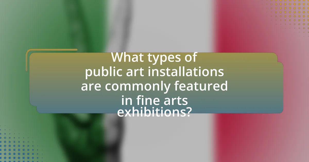 What types of public art installations are commonly featured in fine arts exhibitions?